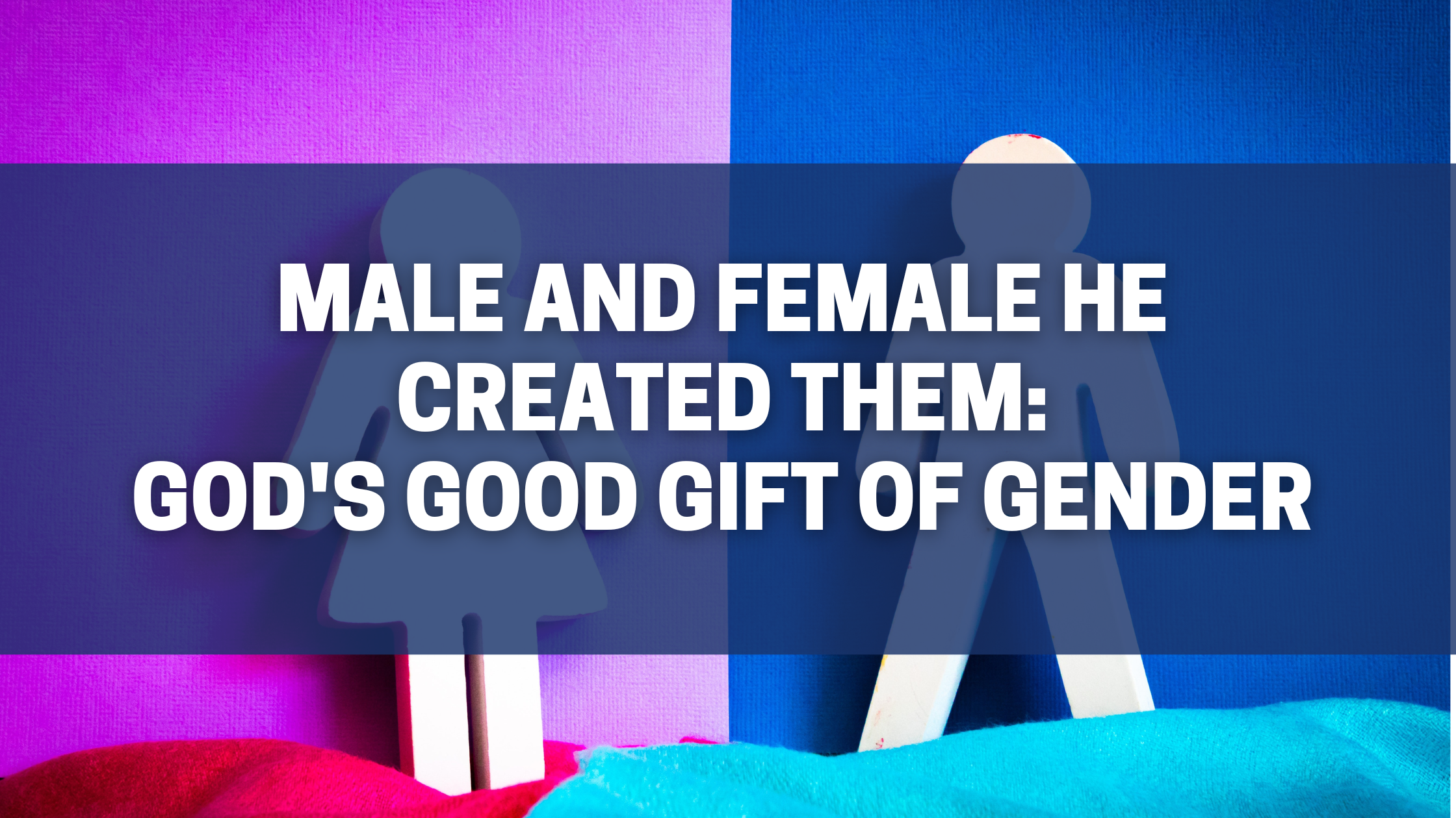 Male and Female God Created Them: God’s Good Gift of Gender